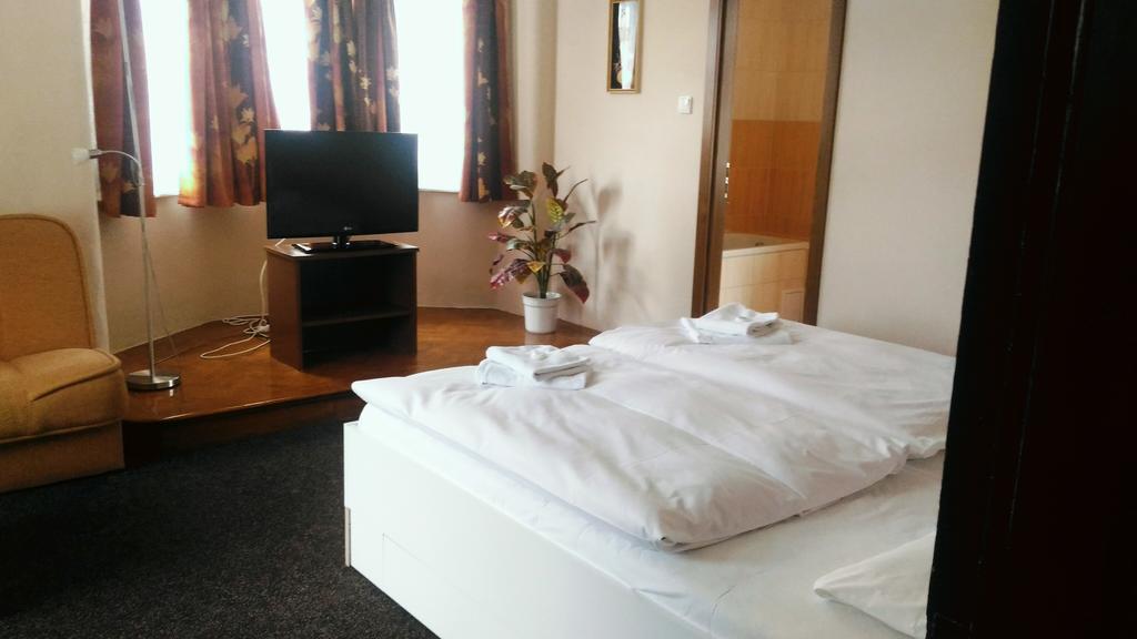 Penzion Marion Hotel เดชชิน ภายนอก รูปภาพ