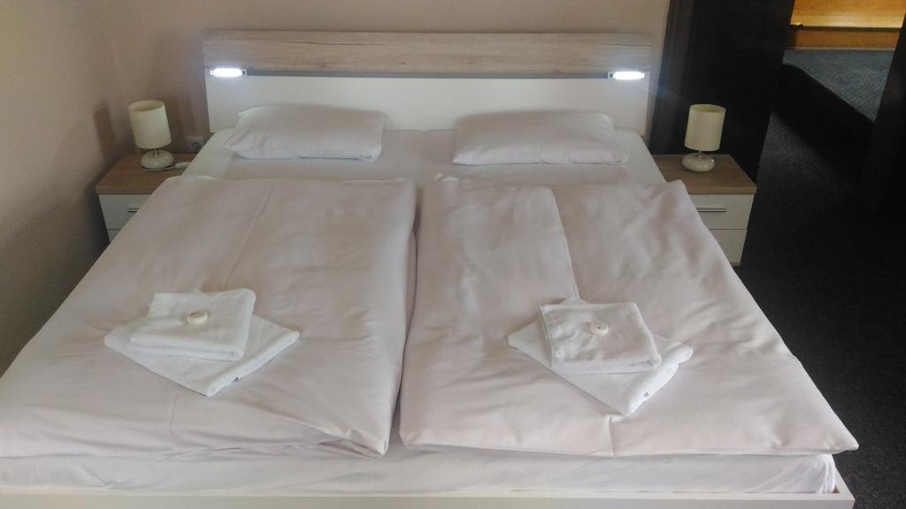 Penzion Marion Hotel เดชชิน ภายนอก รูปภาพ